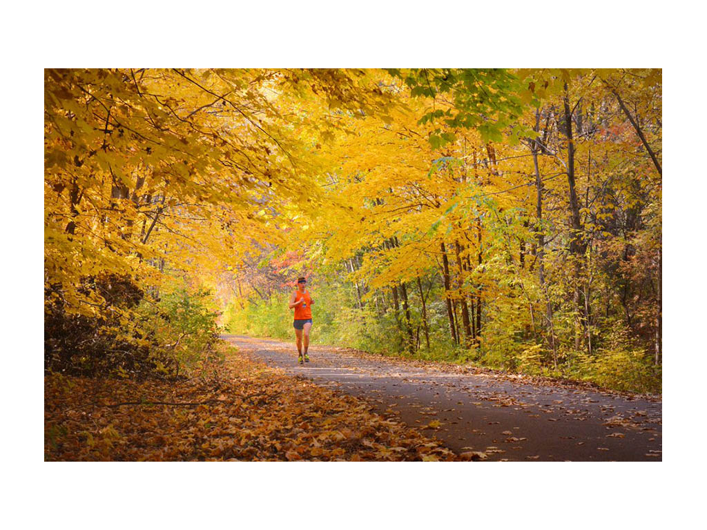 Mikah running on paved road with yellow fall trees above