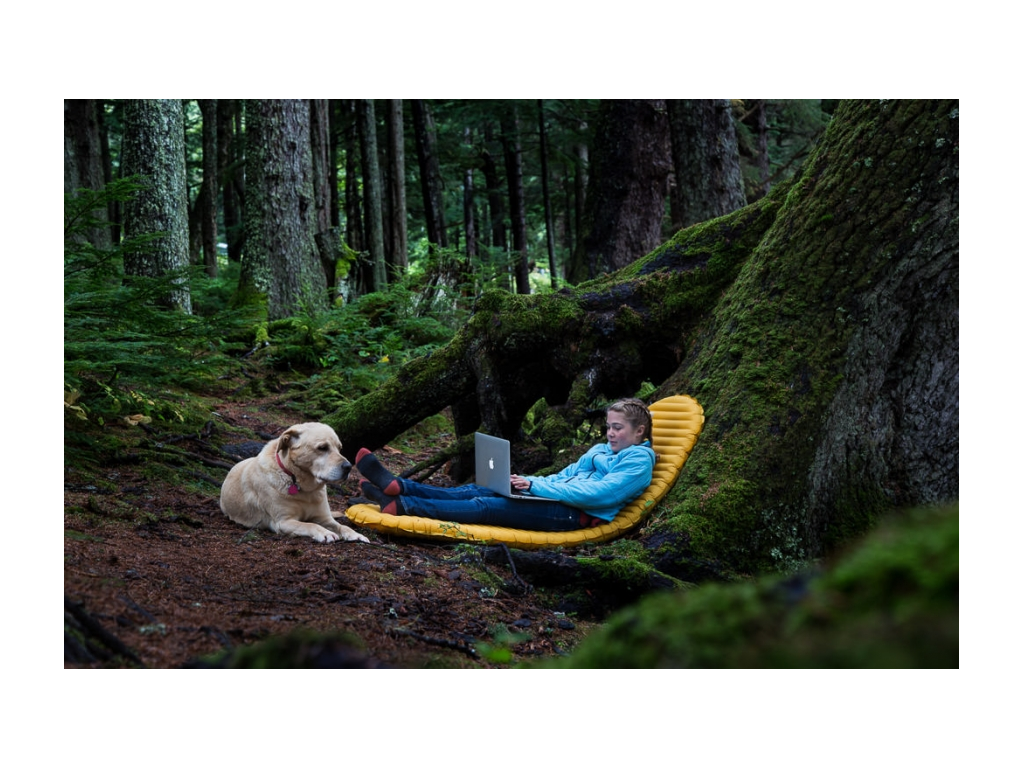 Abby sitting on inflatable mattress next to tree working on laptop with Tucker the dog at her feet.