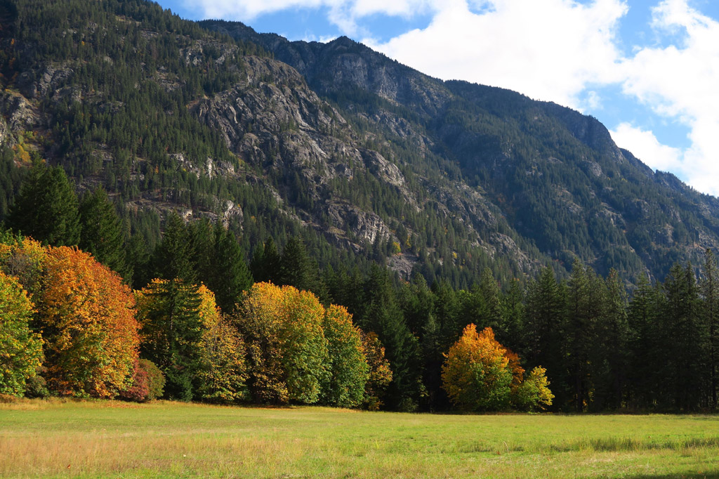 Tree covered hillsides of the North Cascades.