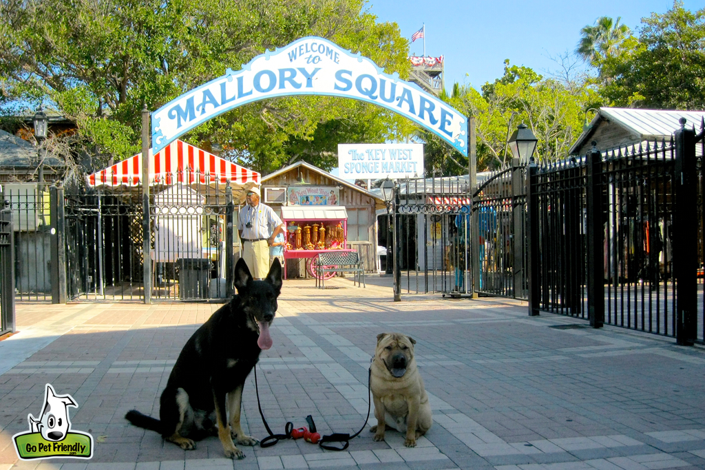 Two dogs sitting in front of sign for Mallory Square.