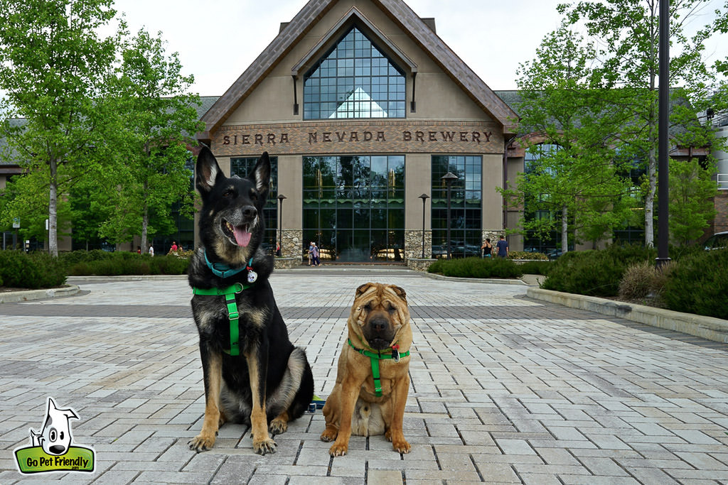 Ty and Buster sitting in front of Sierra Nevada Brewery.