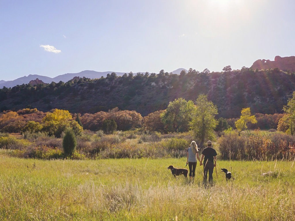 Couple and two dogs standing in tall grass with mountains in the distance.