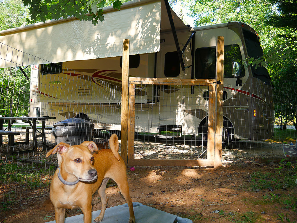 Winnebago Vista with Belle in a dog run right out front at campsite
