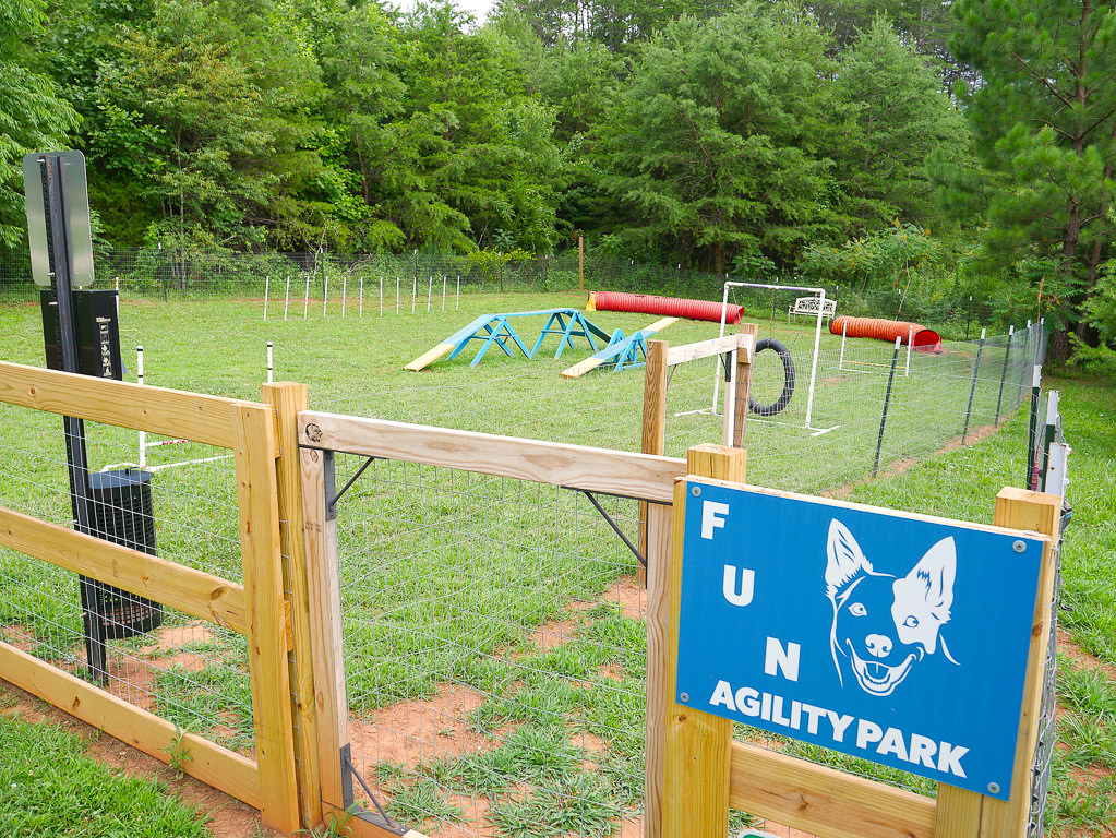 Agility park at the campground