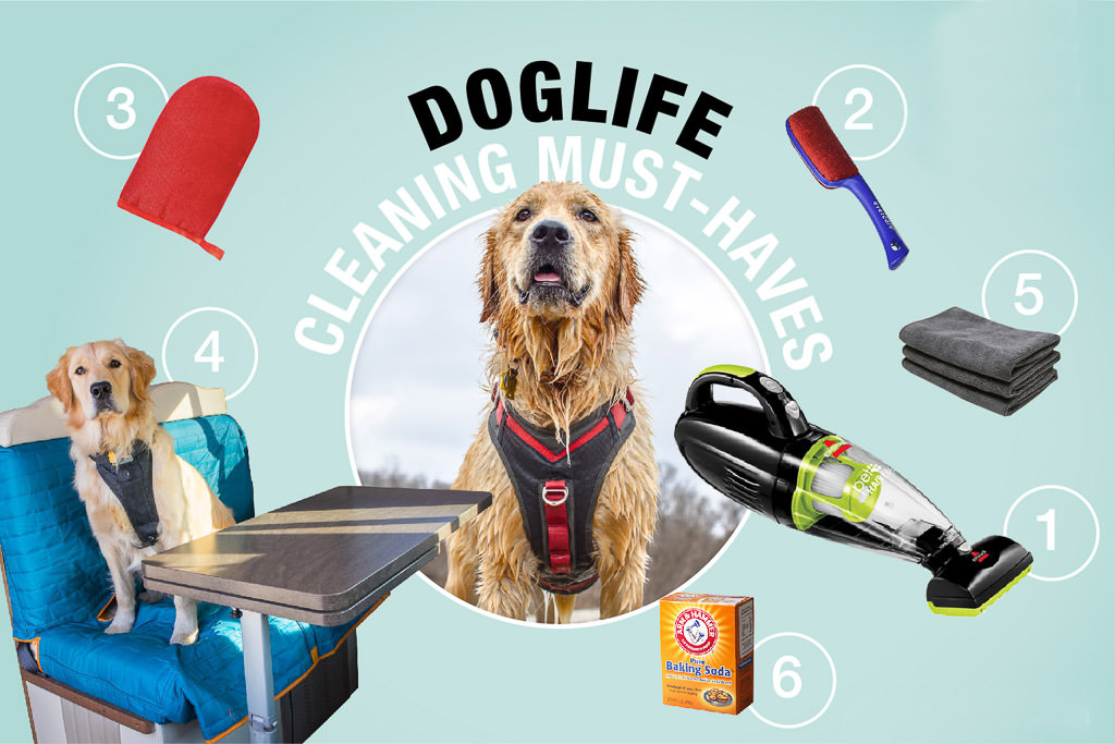 Graphic of Lucy the dog surrounded by various cleaning supplies