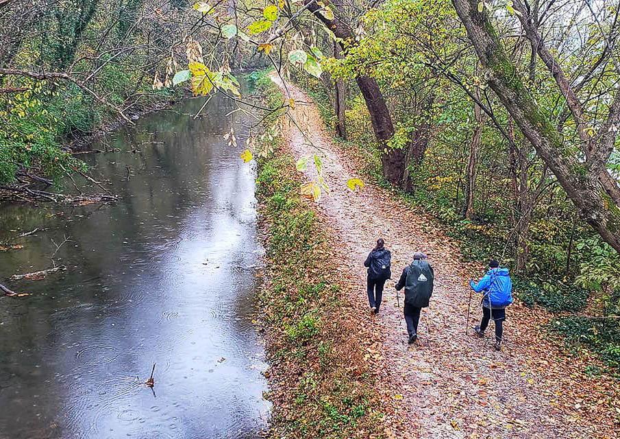 Three people hiking on a trail along a river