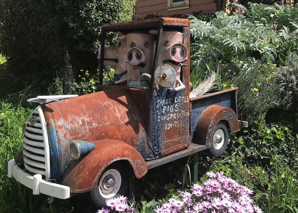 "Junk art" old truck with three pigs in the cab.