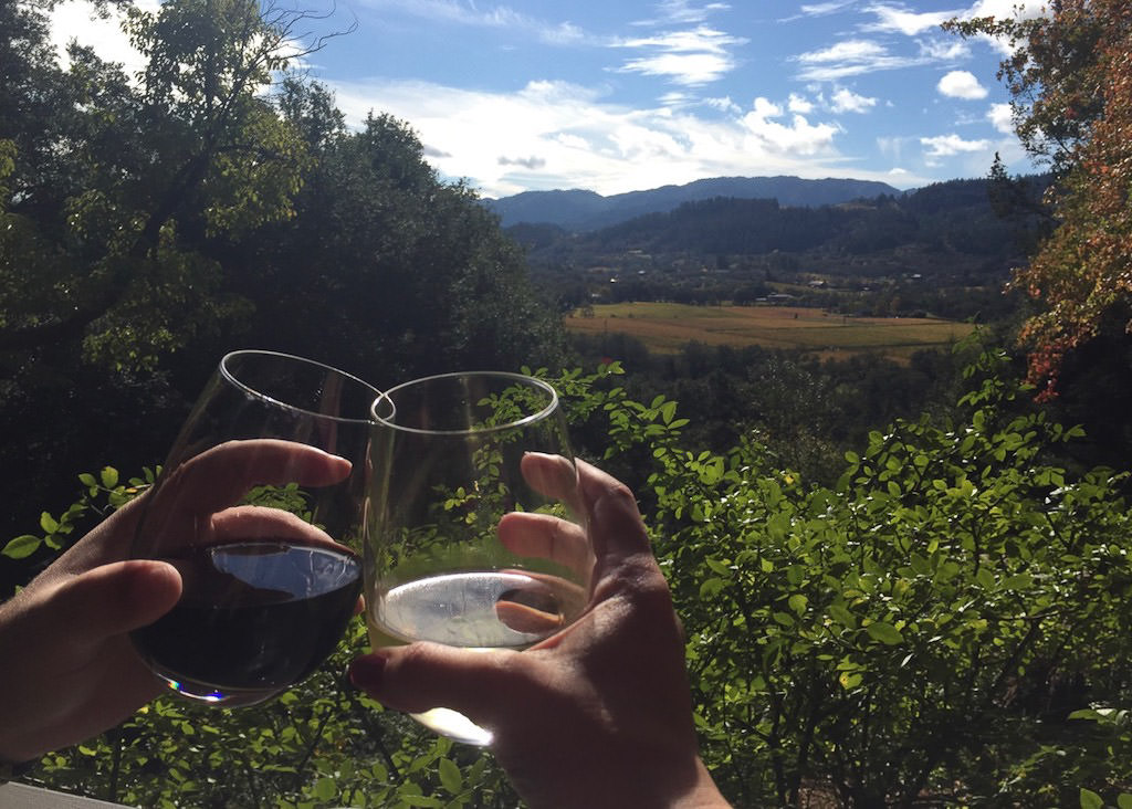 Wine glasses with view of Napa Valley through the trees.