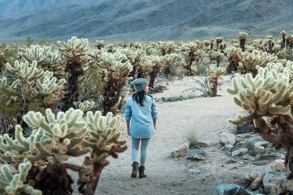 Nadia walking in field of cacti.