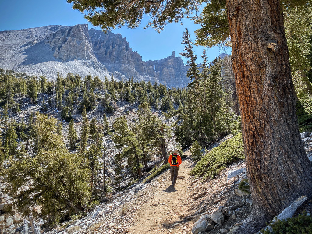 Man hiking along a path in Great Basin. Trees and mountains surround.